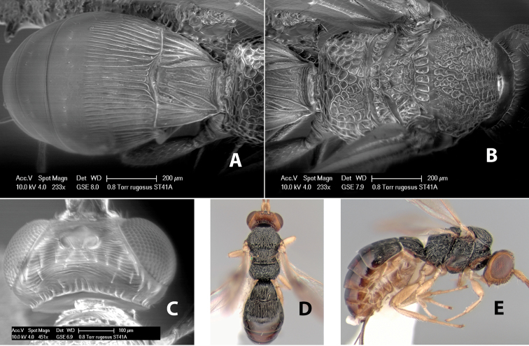 Figure 105.