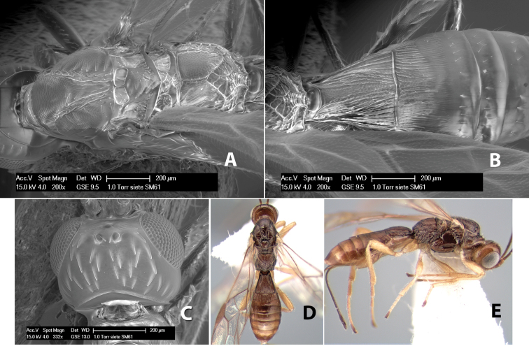 Figure 282.