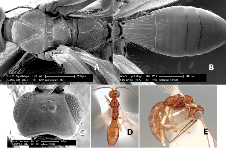 Figure 76.