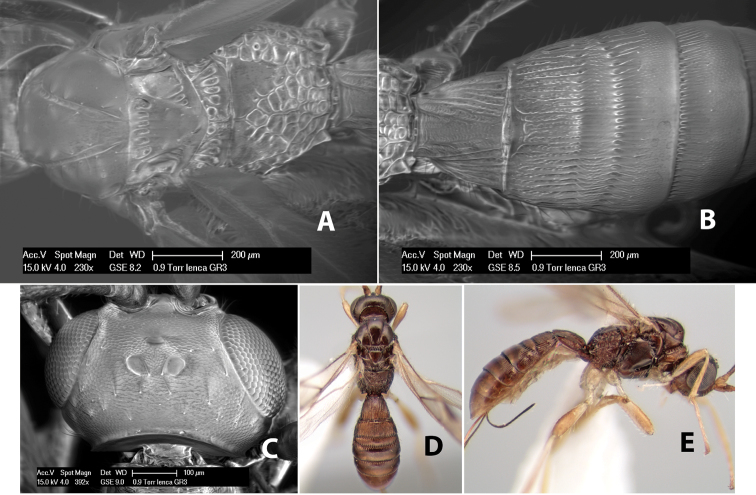 Figure 168.