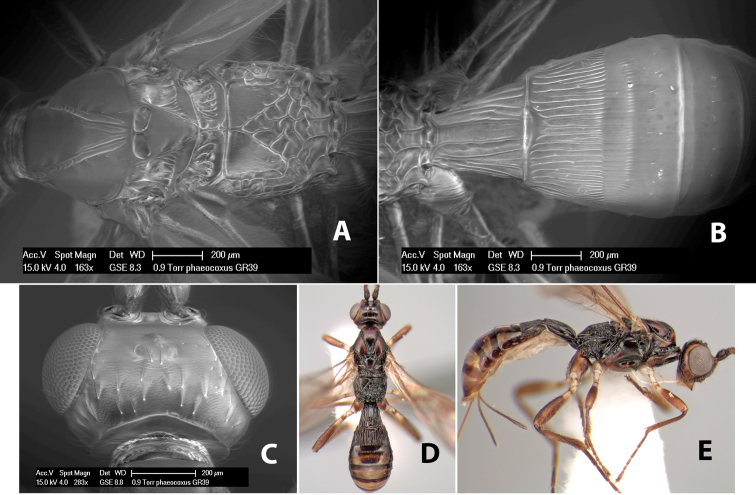 Figure 179.