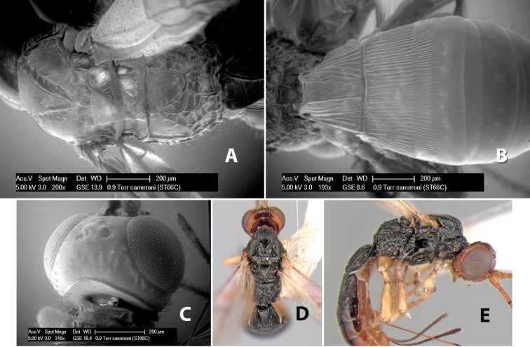 Figure 26.