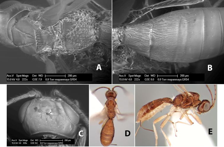 Figure 173.