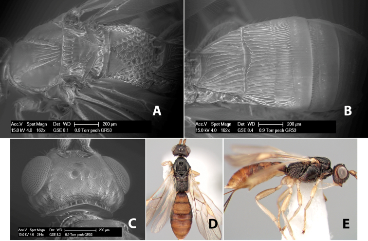 Figure 178.