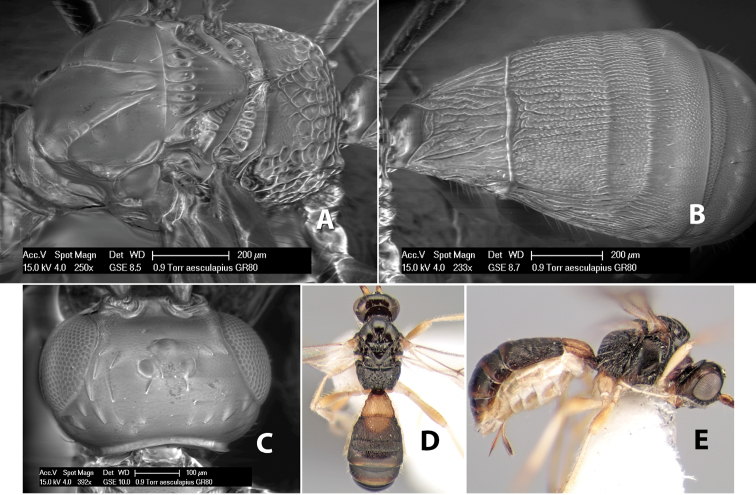 Figure 133.