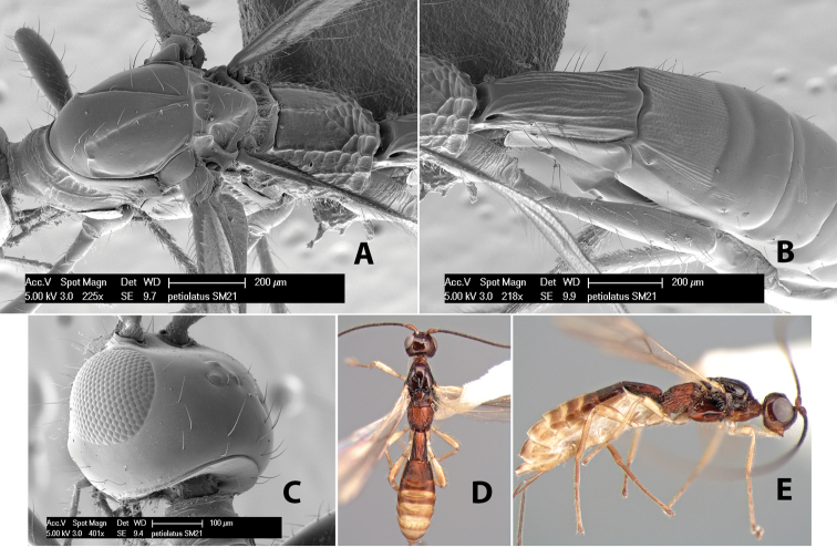 Figure 269.