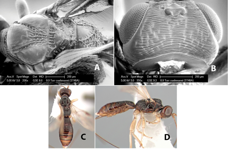 Figure 35.