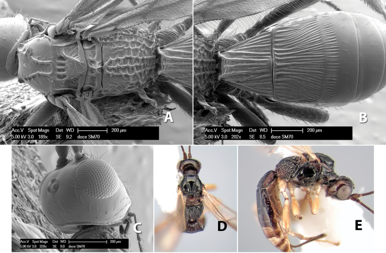 Figure 234.