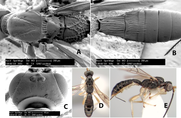 Figure 146.