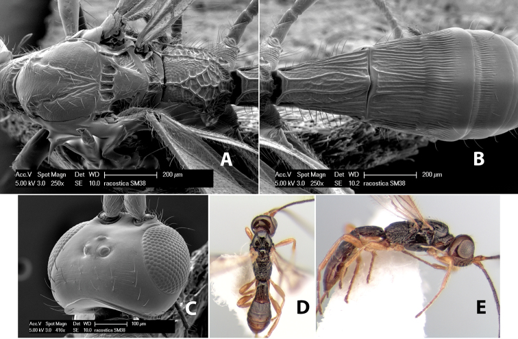 Figure 274.