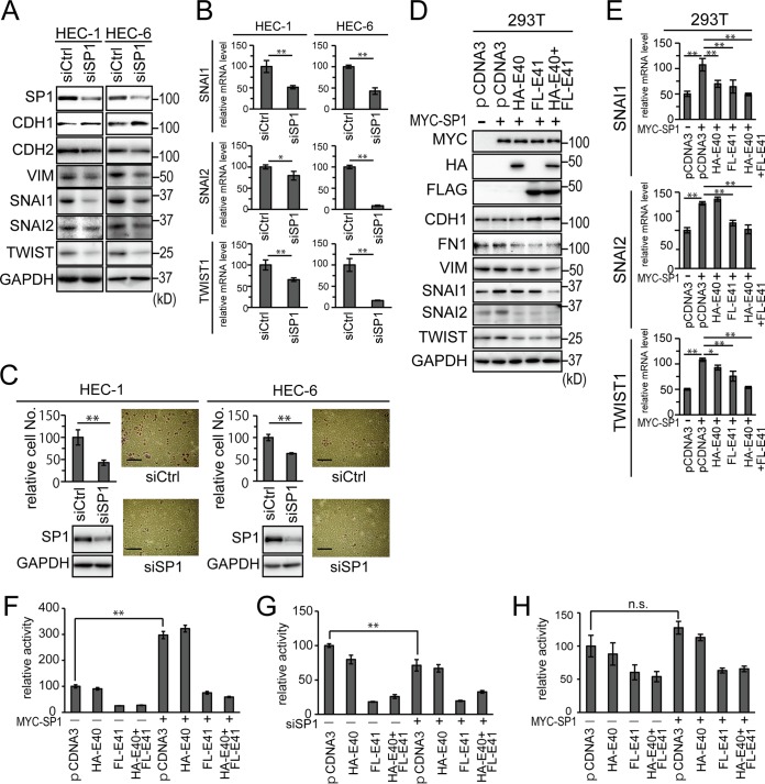 FIG 6