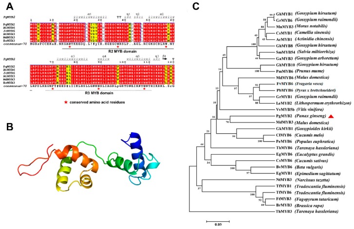 Figure 2