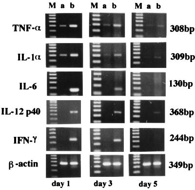 FIG. 4