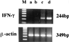 FIG. 5