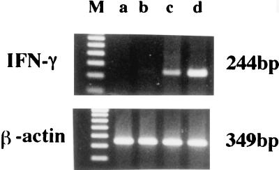 FIG. 5