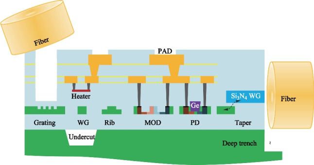 Fig. 1