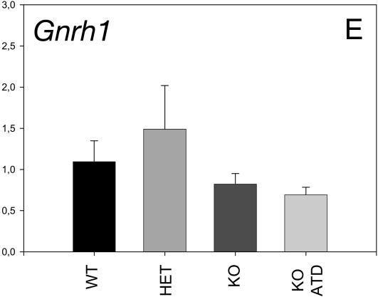 FIG.2.