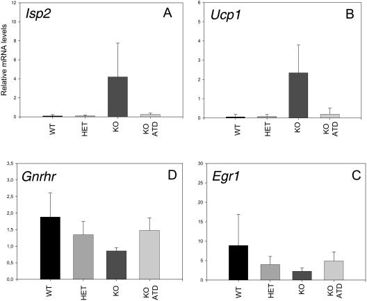 FIG.2.