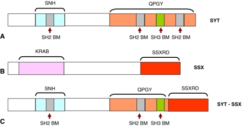 Fig. 1A−C