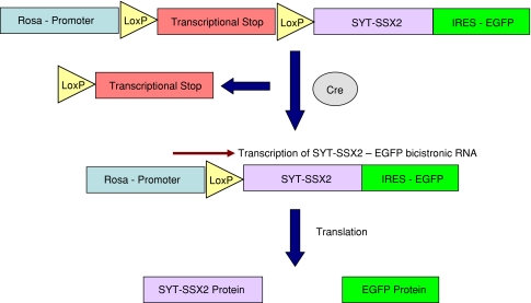 Fig. 2