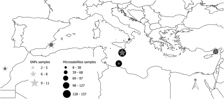 Fig. 1