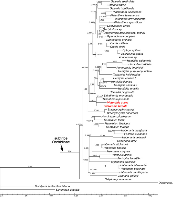 Figure 3