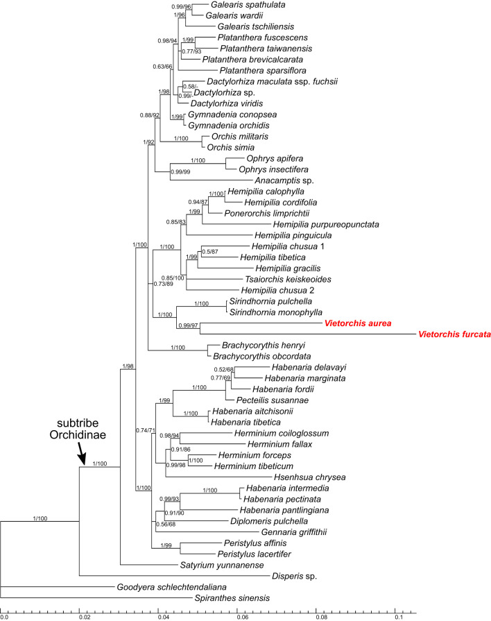 Figure 4