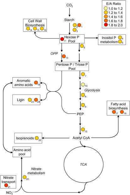 Figure 6.