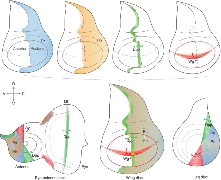 Fig. 3