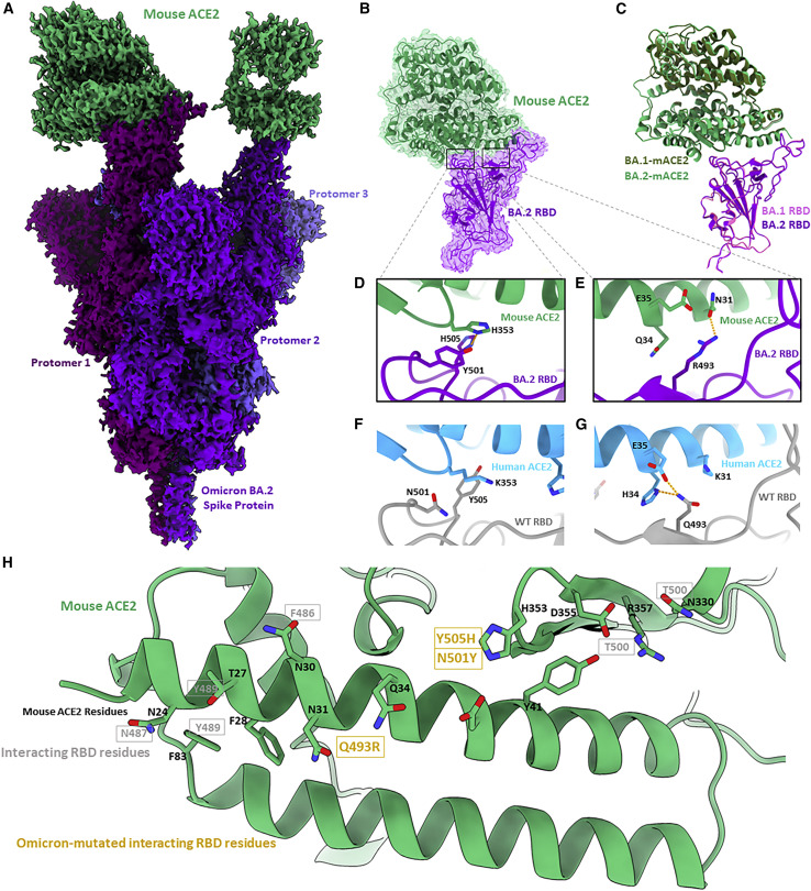 Figure 3