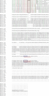 Supplementary Fig. 2