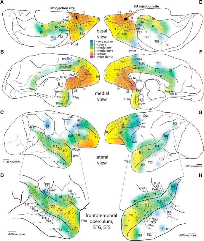 Figure 6.