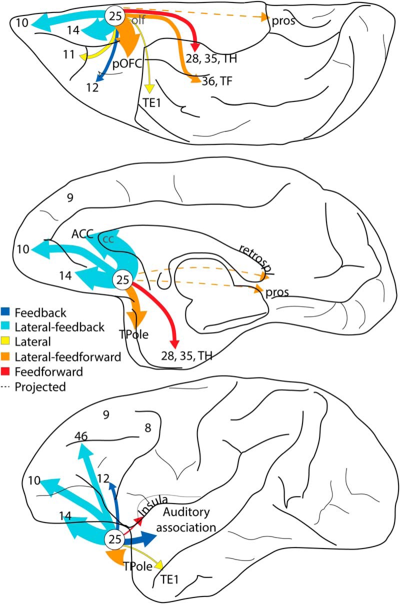 Figure 12.