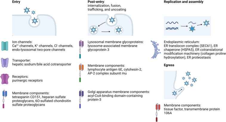 Figure 15