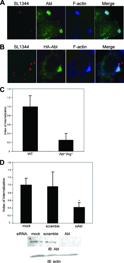 FIG. 1.