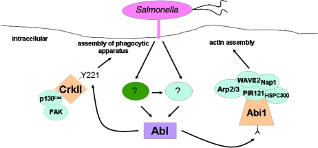 FIG. 7.