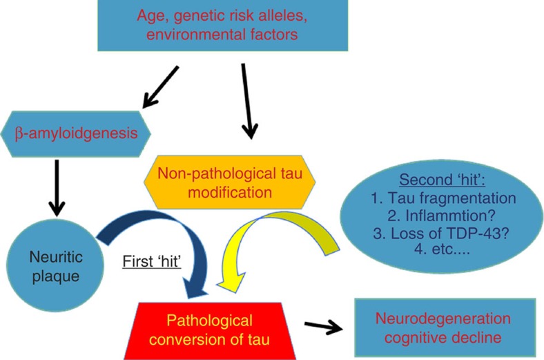 Figure 10