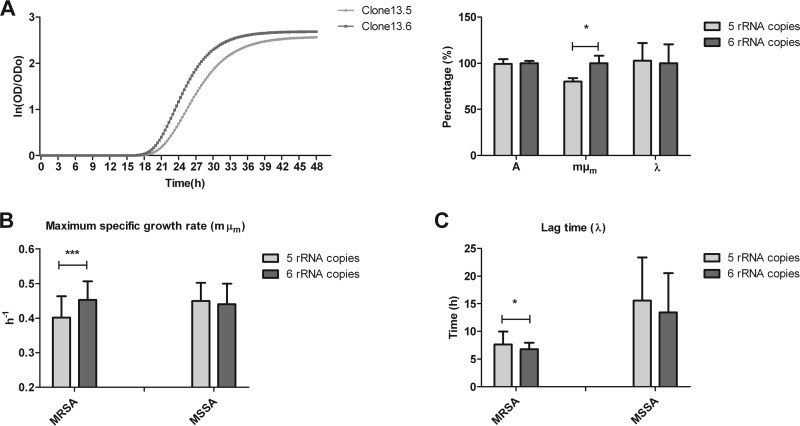 FIG 6