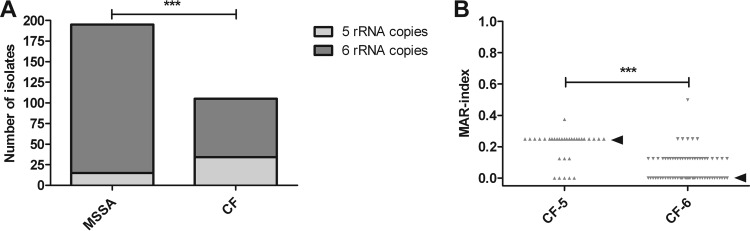 FIG 5