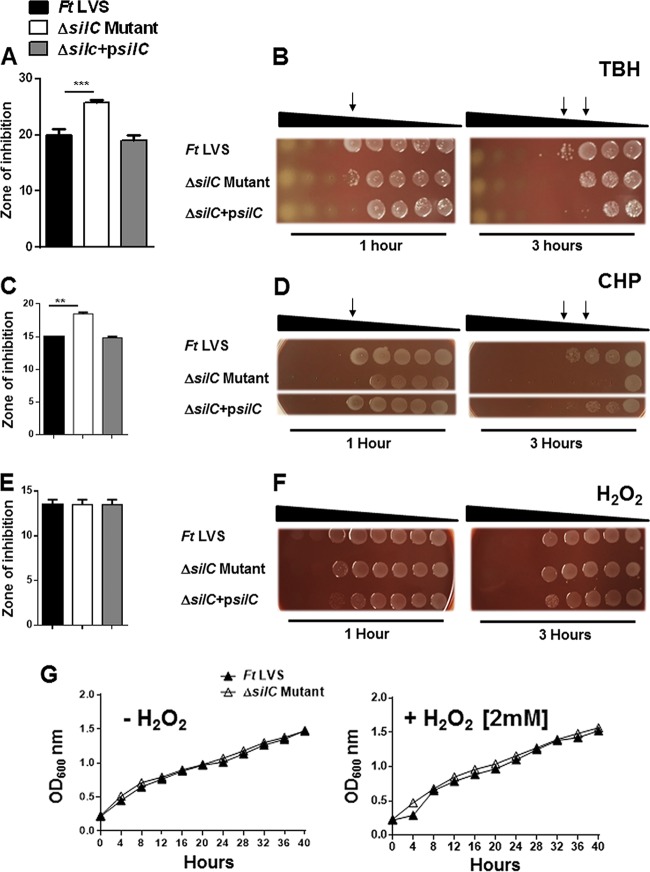 FIG 3