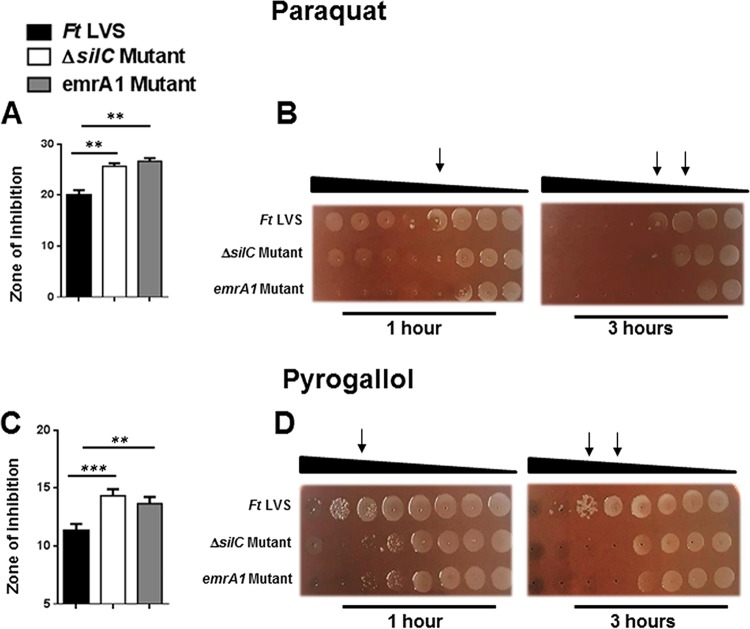 FIG 4