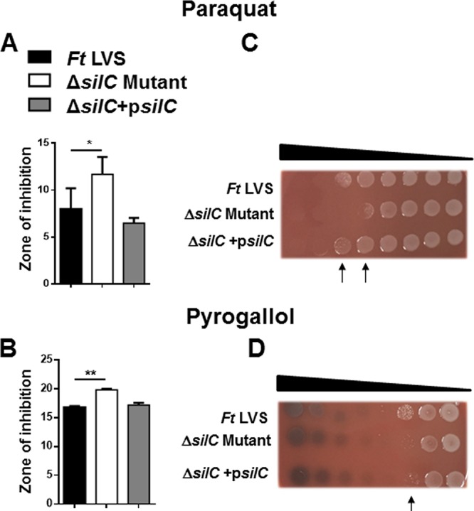 FIG 2