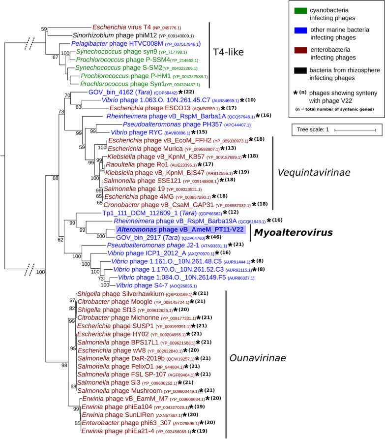 FIG 3