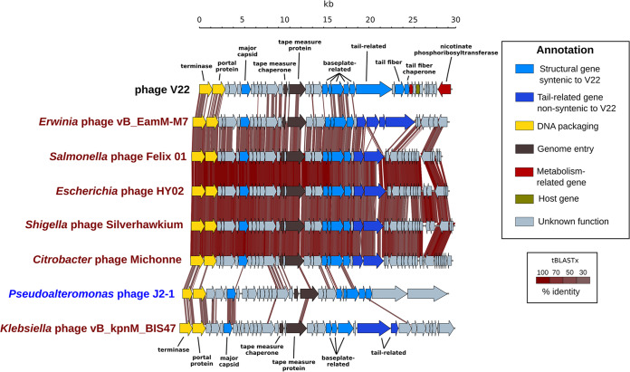 FIG 4