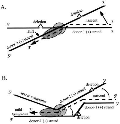 FIG. 3
