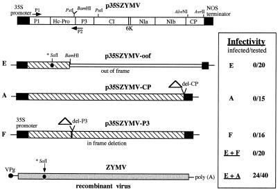 FIG. 5