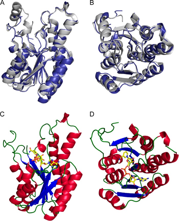 FIGURE 5.