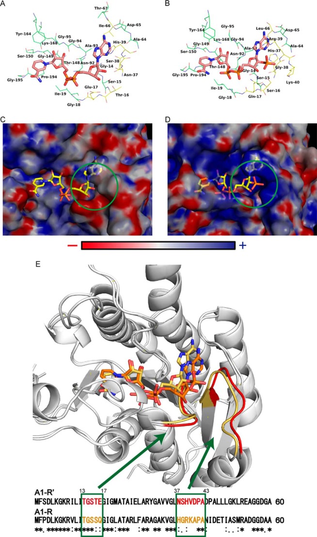 FIGURE 6.