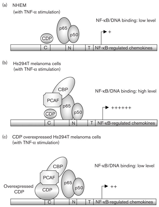 Fig. 5