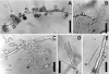 FIG. 4.